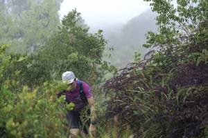 BIB: 
                            <button type="button" onclick="openModal(24736028)" class="btn btn-primary btn-sm float-right btn-popup" data-toggle="modal" data-target=".modal-high-quality">
                        <i class="fas fa-shopping-cart"></i> Add to Cart
                    </button>
                                            <button type="button" onclick="isThisMe(24736028, true)" class="btn btn-success btn-sm float-right btn-popup btn-isme hidden" data-toggle="tooltip" data-placement="bottom" title="นี่คือรูปของคุณใช่ไหม คลิกที่นี่เพื่อเอาเข้าอัลบั้ม">
                        <i class="fas fa-plus"></i> Add to album
                    </button>
                    <button type="button" onclick="isThisMe(24736028, false)" class="btn btn-warning btn-sm float-right btn-popup btn-isnotme hidden">
                        <i class="fas fa-ban"></i> Remove from album
                    </button>